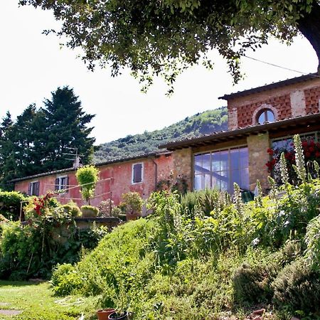 Casa Gaia Affittacamere Lucca Esterno foto
