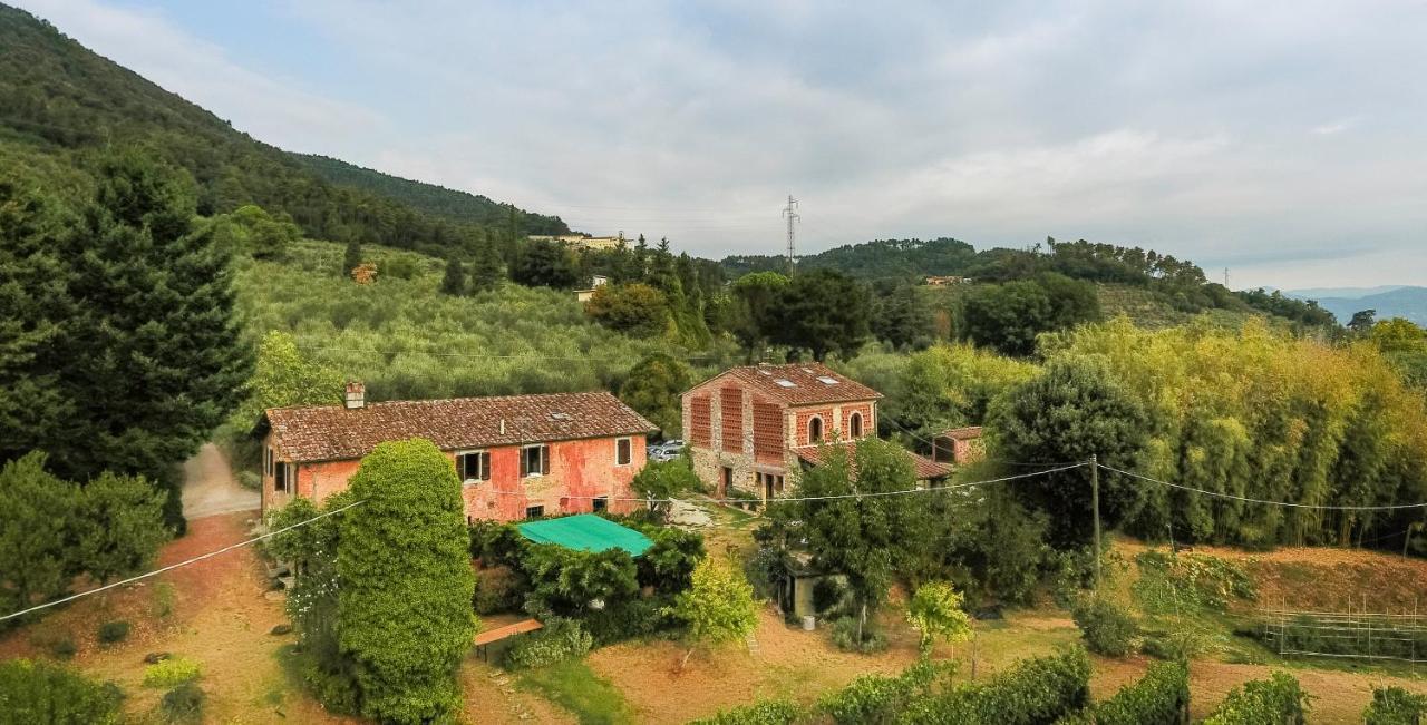 Casa Gaia Affittacamere Lucca Esterno foto