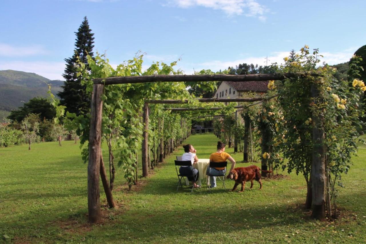 Casa Gaia Affittacamere Lucca Esterno foto