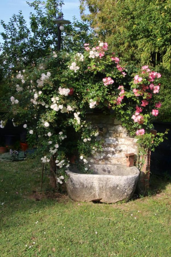 Casa Gaia Affittacamere Lucca Esterno foto