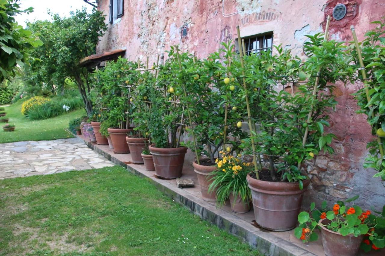 Casa Gaia Affittacamere Lucca Esterno foto